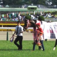 👑🐴オークス　2025