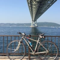 中途半端自転車通勤