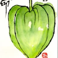 今日の絵手紙