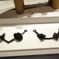 上野の国立科学博物館に「古代DNA　日本人のきた道」を観に行った　　　その３/全３回