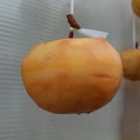 干し柿