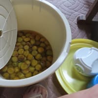 この時期梅干しとラッキョウ漬けである。以前は妻がやっていたが聞きながら減塩で挑戦