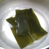磯ツブ貝で酒肴