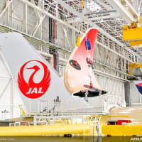 JAL A350-900. 習熟訓練飛行は30日終了❗️関空南の風 強し 24/ 運用 多くのフアンに別れを惜しんで札幌へ ❣️