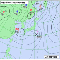 2025年7月13日～16日 東京のお盆…台風がやってくる～ (￣▽￣;)!!　クリーム玄米ブラン♪
