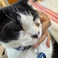 2025/6/28の朝