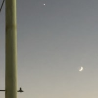 三日月🌙