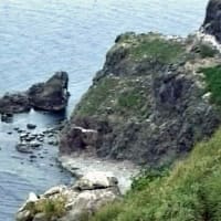 海鳥のサンクチュアリ　天売島と森林浴を楽しむメルヘンの焼尻島　３４回目　天売島