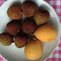 入梅です、本日