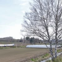 桜満開を期待して出撃した北海道　０７日編