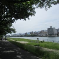 広島の街のリバーサイドをテクテク散歩・・・川面を吹く風が心地よいです　川岸には遊歩道が整されています