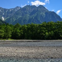 「はてなブログ」に移行します。ご愛顧有難うございました。