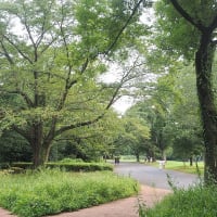 　　真夏の昭和記念公園でした　その５