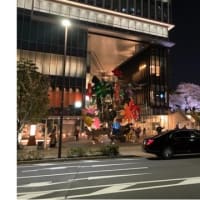 2023Sakura in Akasaka