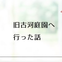 旧古川庭園へ行った話④