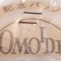 観光 レトロ＊ドン居住区のピンバッチ