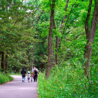 埼玉・森林公園の散歩。
