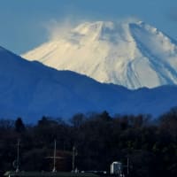 日常生活の富士山…多摩川冬景色シリーズ
