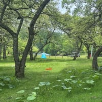 　　　　　　’２５年「夏」（２３)