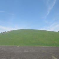 暑くとも風有り木陰を縫う散歩　映画『プラン７５』(2022年）