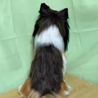 ブログ終了！？実物大シェルティ完成✨