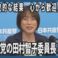 【#参院選挙2025】比例区で参政党が立憲民主党を上回る７４２万票を得て３位。日本保守党が日本共産党を上回る２９８万票を得て８位。右傾化が本格化した中、リベラル政党に必要なのはナラティブの構築だ。