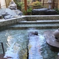 弘法の湯 本店(静岡県伊豆の国市)日帰り入浴体験記