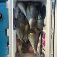 １号船午後便ウタセマダイ、２号船午後便イサキです。