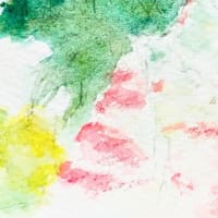 漁師さんの鯛