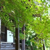 東明寺