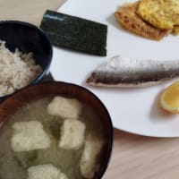 今日もおいしく頂きました！