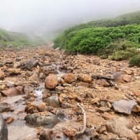 富良野岳　1912m 2025/7/1
