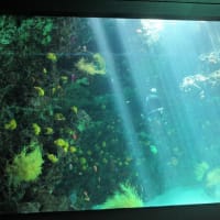 塩屋埼灯台などいわき市の名所を巡る