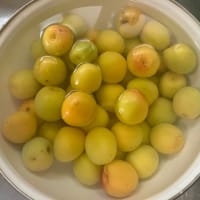 羨ましい皮膚感覚・・・
