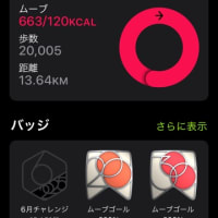 しごおわジムおわただいま〜2025/06/11