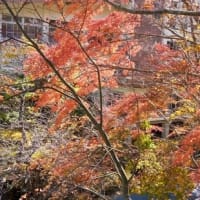 夏油の紅葉