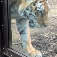 多摩動物公園