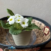 一閑張り