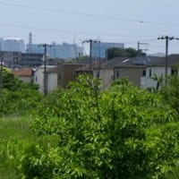 又また虹が見えた
