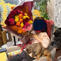 35本の薔薇の巻