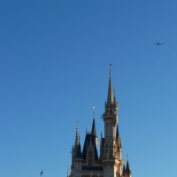 Air Plane over The Castle