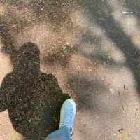 狂った人生のはじまり