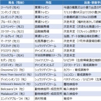 今週は出走ナシ？ いや、ジーベックが行くかも！？