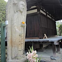 奈良　伝香寺の武士（もののふ）椿