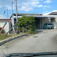 八代醸造に行ってきました。