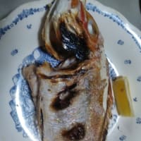 鯛の塩焼き、マゴチの刺身、アマダイの塩汁