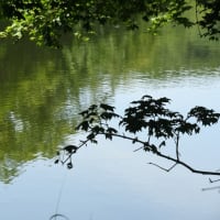 水面の表情…