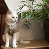 今日いち-2025年7月7日