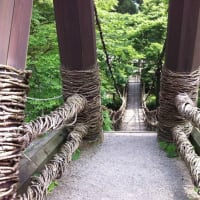 かずら橋の魅力を3つのポイントとは？