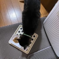2825/6/15の夜